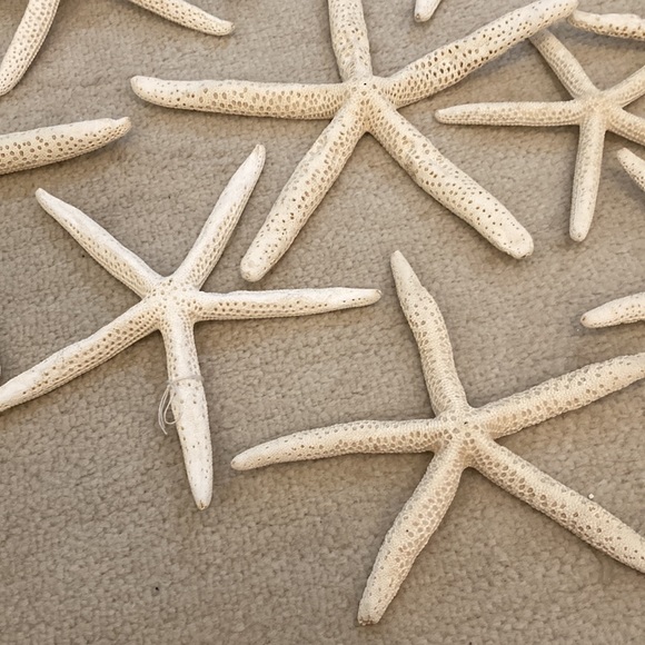 Natural starfish Christmas ornaments. All perfect ready for your coastal tree - Picture 5 of 8